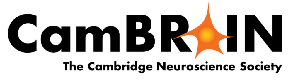 Image for CamBRAIN Neurotalks – Love Hormones & the Brain