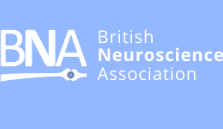 Image for BNA-Brain Carer Grants