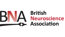 Image for BNA Award for Outstanding Contribution to Neuroscience – Call Open