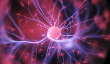 Image for Paul G Allen – Call for Discovery Centre Program for Neuroimmune Interactions Program