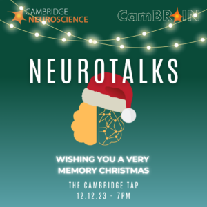 Image for CamBRAIN Festive Neurotalks