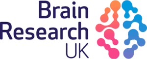 Image for Brain Research UK – Post-doctoral fellowships and Clinical PhD fellowships