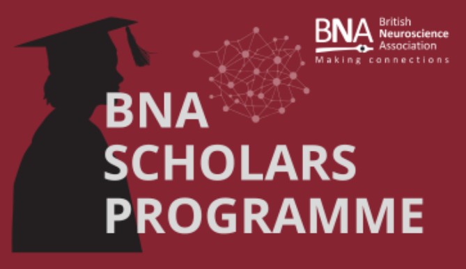 Image for Applications welcome for 2025 entry to the BNA Scholars Programme