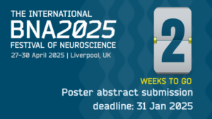 Image for Final call for poster abstracts for the BNA2025 International Festival of Neuroscience