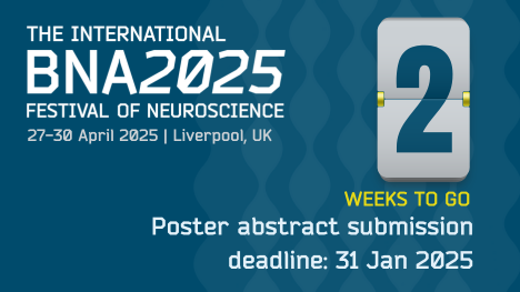 Image for Final call for poster abstracts for the BNA2025 International Festival of Neuroscience